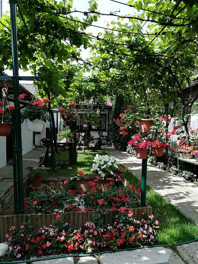 Flower House Constanta Exterior photo